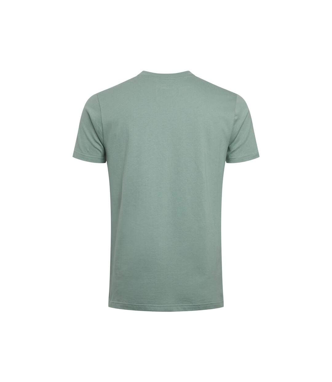 Mens tidal organic short-sleeved t-shirt dusty teal Weird Fish-2