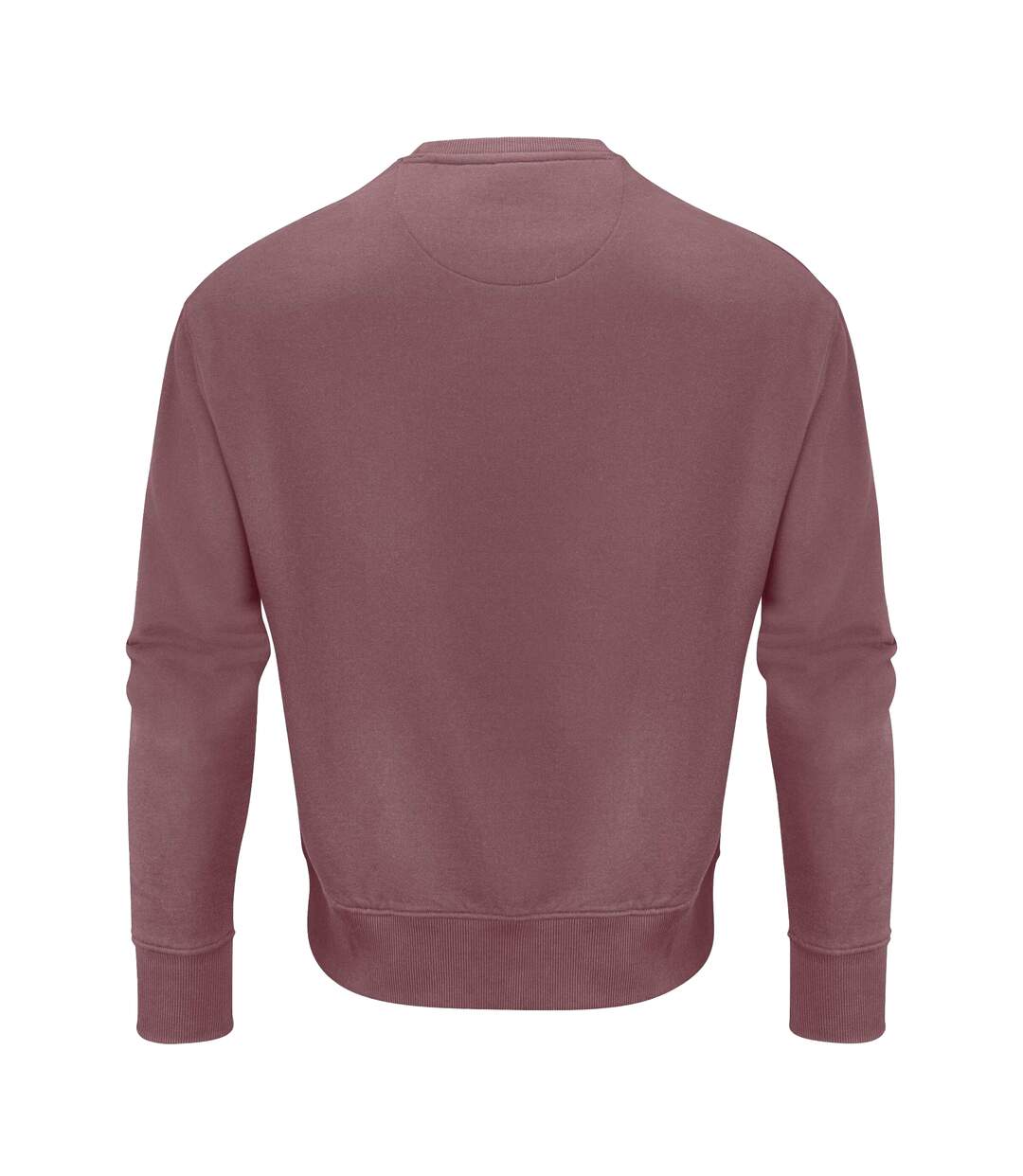 Unisex Adult Hopedale Crew Neck Sweatshirt Dusty Red James Harvest-2