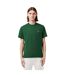 T-shirt Motif/style Logo Brodé Homme Vert Lacoste-1