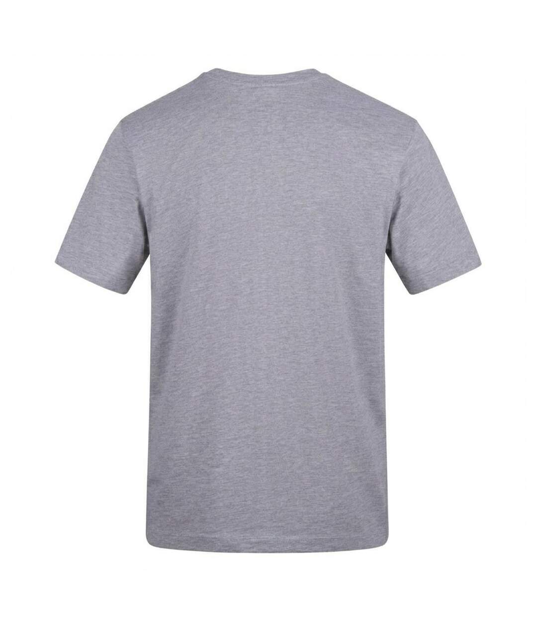 T-shirt Bearman Adulte Gris AWD-2