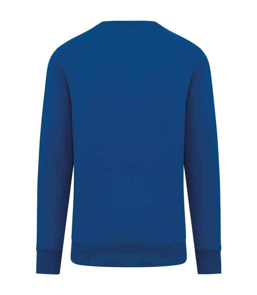 Unisex adult crew neck sweatshirt sea blue Native Spirit-2