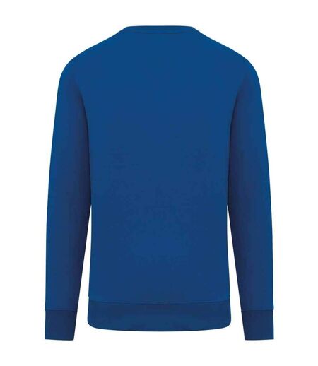 Unisex adult crew neck sweatshirt sea blue Native Spirit