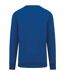 Unisex adult crew neck sweatshirt sea blue Native Spirit-2