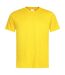 Unisex adults classic tee sunflower Stedman-1