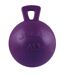 Tug-n-toss dog retrieving toy 4.5in purple Jolly Pets-1