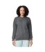 Unisex Adult Softstyle Midweight Quarter Zip Sweatshirt Charcoal Gildan-1
