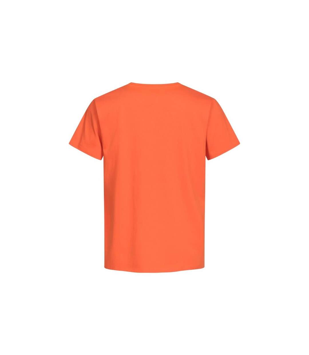 T-shirt Premium Homme Flamme Promodoro-2