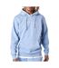 Sweat bleu homme project x paris 2322006-lb - l-1