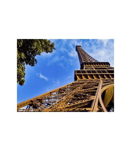 Visite guidée du sommet de la tour Eiffel pour 1 adulte et 2 enfants - SMARTBOX - Coffret Cadeau Sport & Aventure