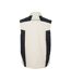Veste Sans Manches Craftsmen Adulte Beige Gris Noir James And Nicholson-2