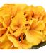 Fleur Artificielle Hortensia 83cm Ambre-2