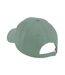 Casquette De Baseball Vieux Vert Beechfield-2