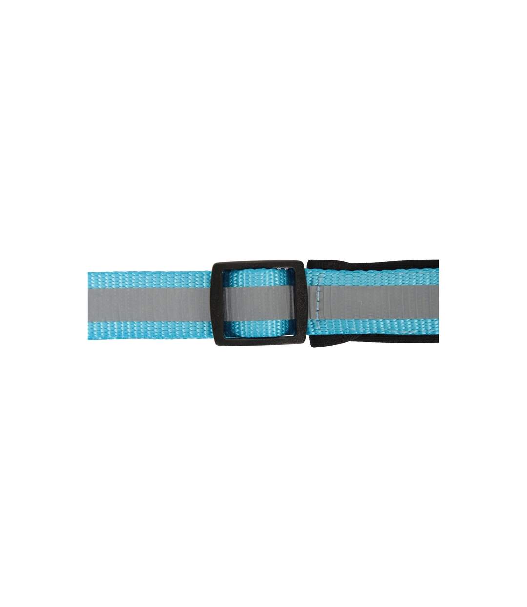 Collier pour chiens s-m bleu Jackson Pet Co-4