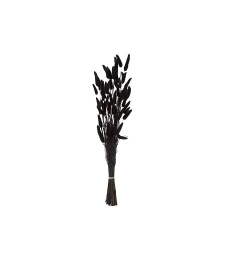 Bouquet de Fleurs Queue de Lapin 58cm Noir