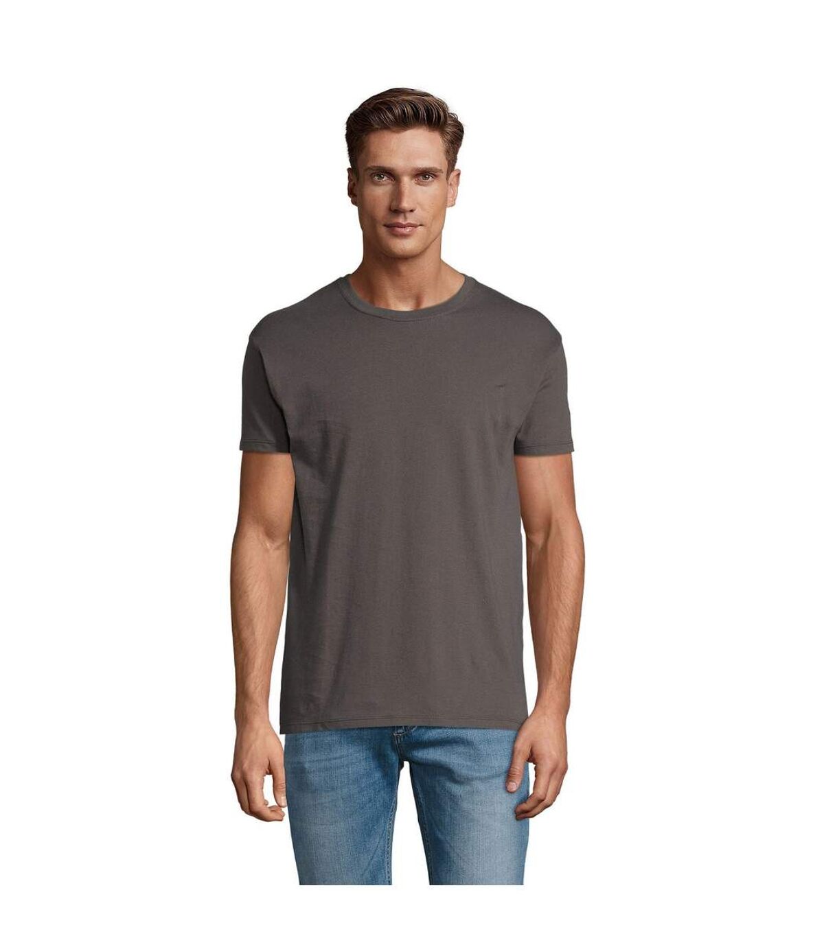 SOLS Mens Regent Short Sleeve T-Shirt (Dark Grey) - UTPC288