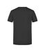 T-shirt Homme Graphite James And Nicholson-2