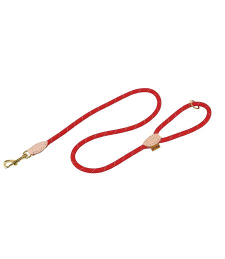 Reflective leather dog lead one size scarlet Digby & Fox