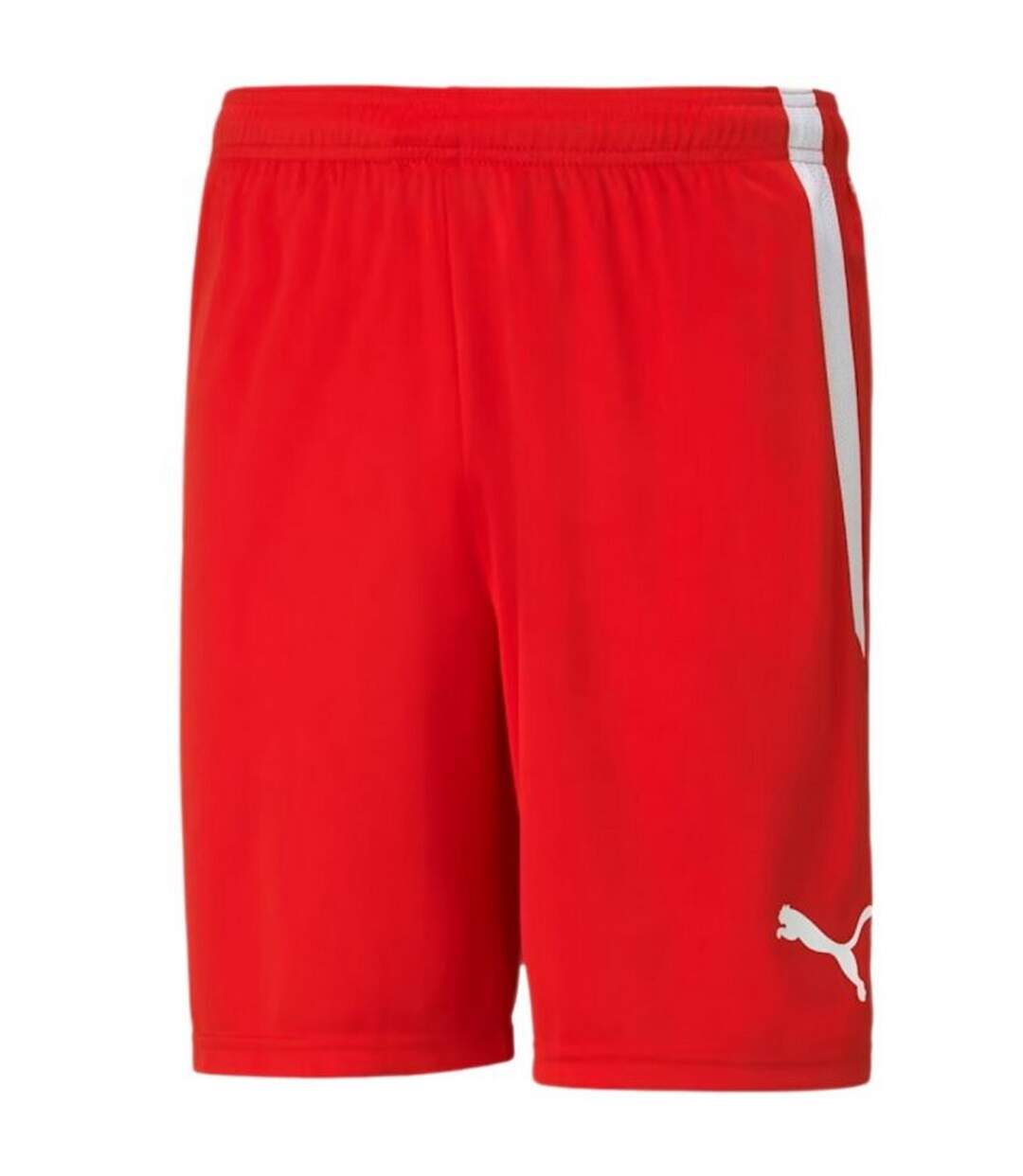 Short Teamliga Homme Rouge Puma-1