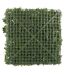 Mur Végétal Artificiel Panache 50x50cm Vert-2