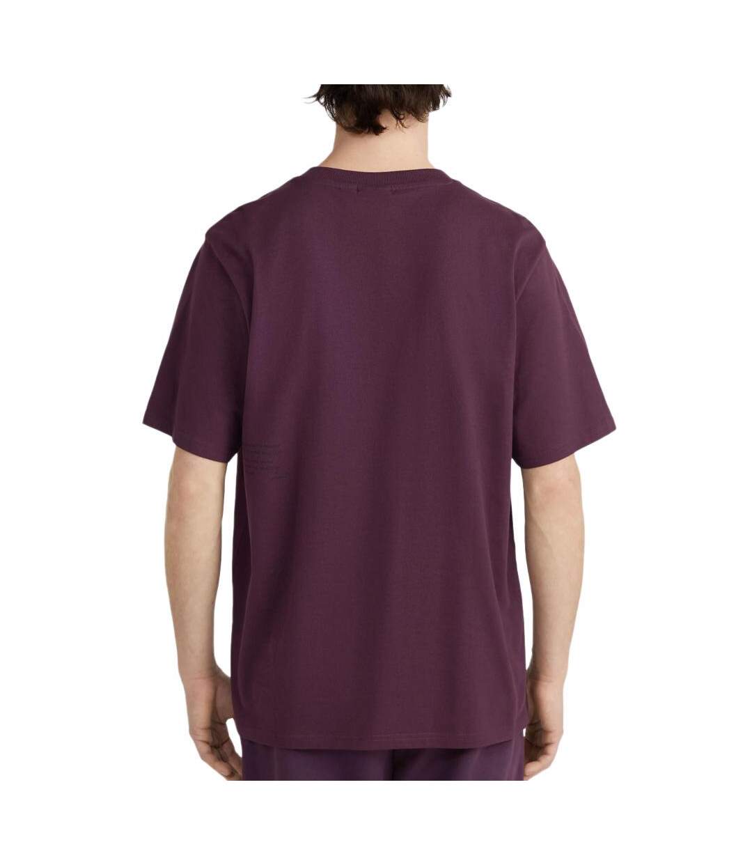 T-Shirt bordeaux homme o'neill the future surf society-2