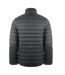 Doudoune Matelassée Motif/style Logo Homme Noir Aquascutum-3