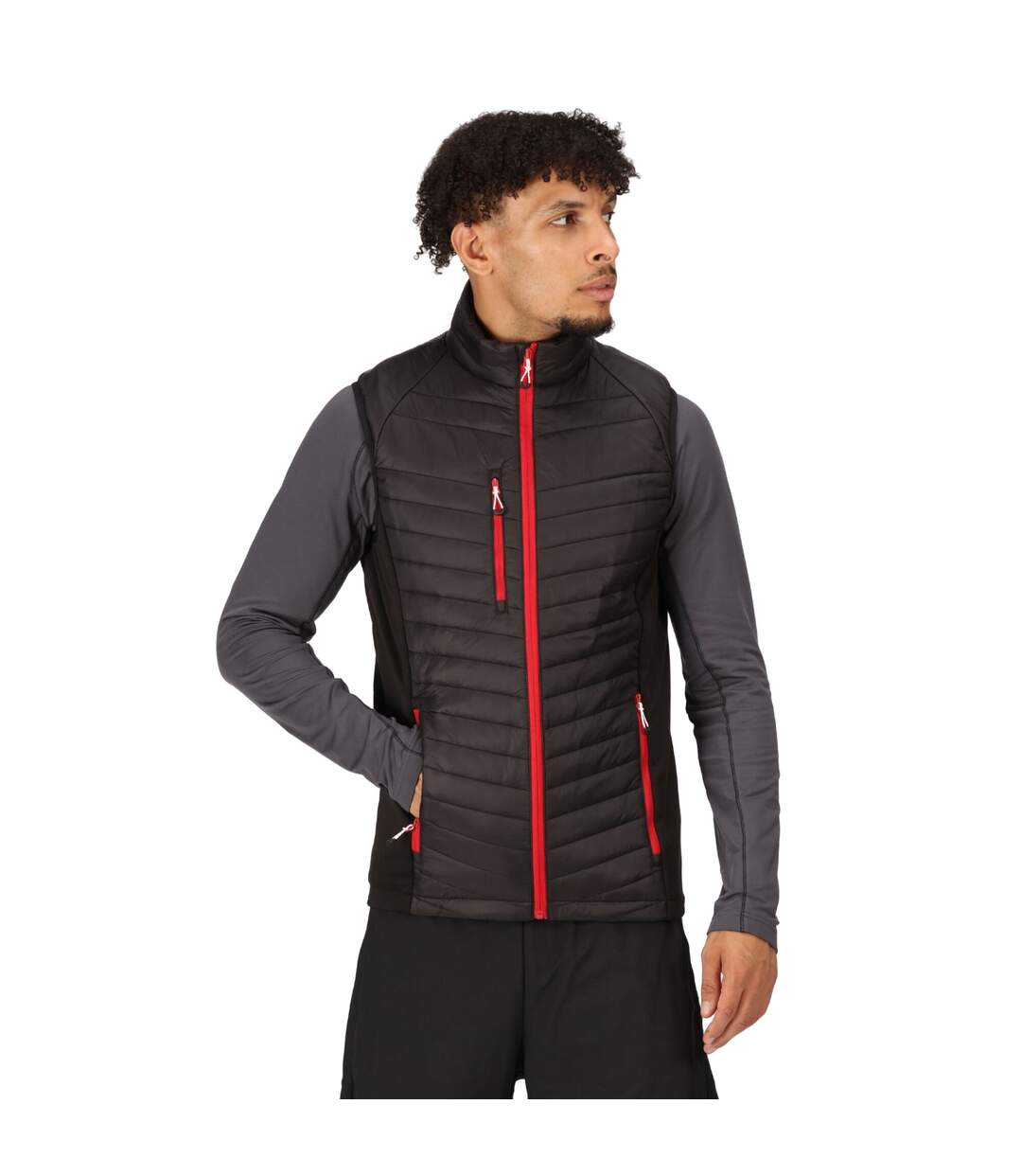 Mens navigate quilted hybrid gilet black/classic red Regatta-3