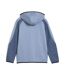 Sweat zippé bleu homme puma evostripe-2