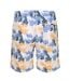 Mens Palma Swim Shorts Multicoloured Luke 1977-2