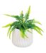 Plante Artificielle en Pot Fougère 33cm Blanc-1