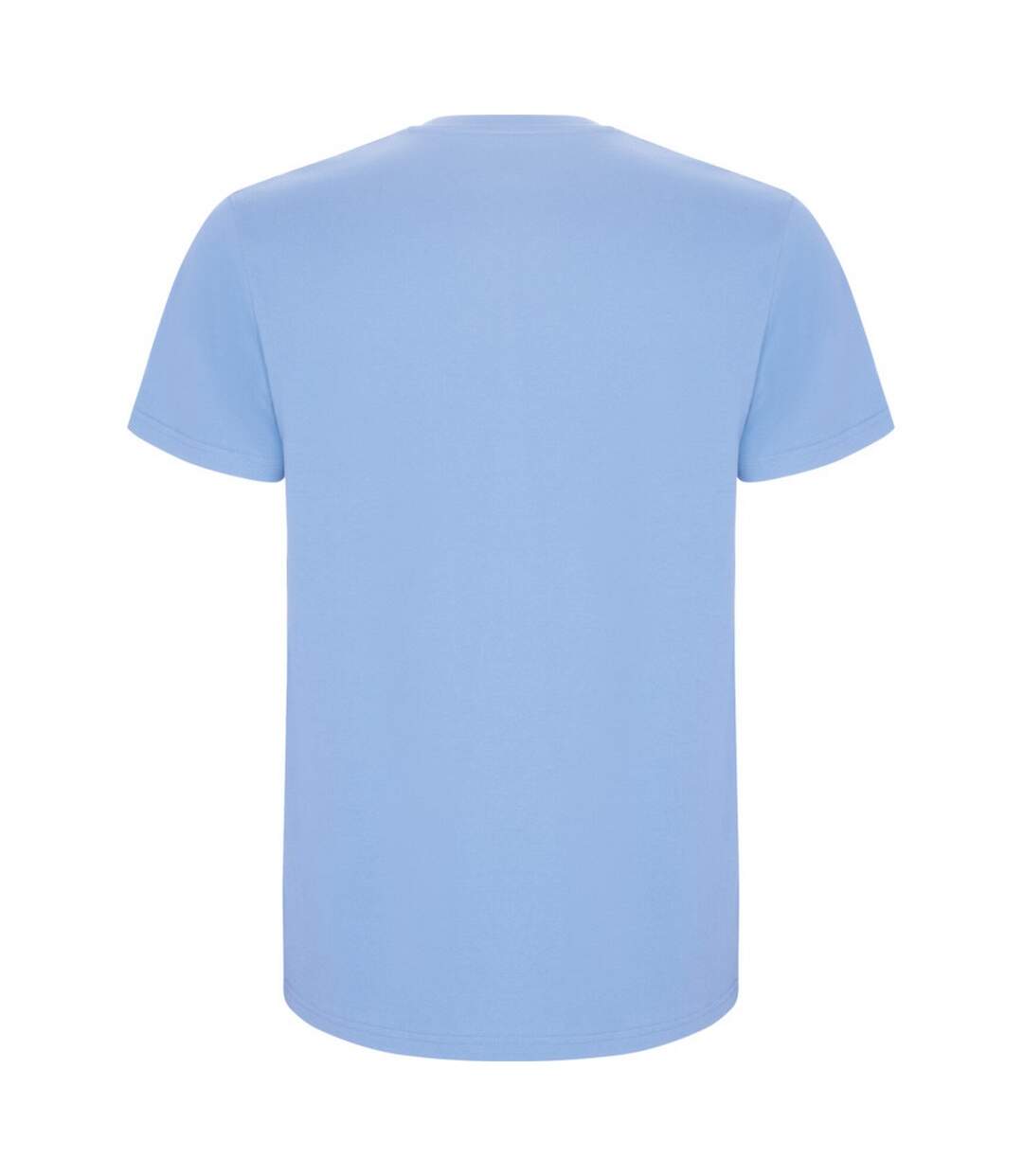 Mens stafford t-shirt sky blue Roly-2