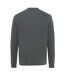 Unisex adult denali recycled cotton undyed sweatshirt heather anthracite heather Iqoniq-2
