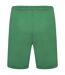 Short Team Liga Homme Vert Puma-2