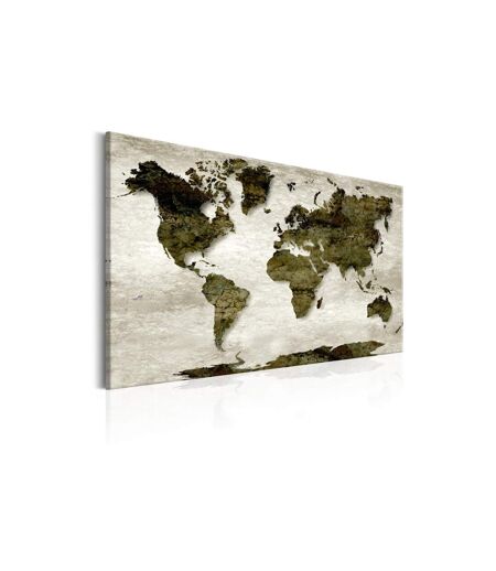 Paris Prix - Tableau Imprimé world Map : Green Planet 40x60cm