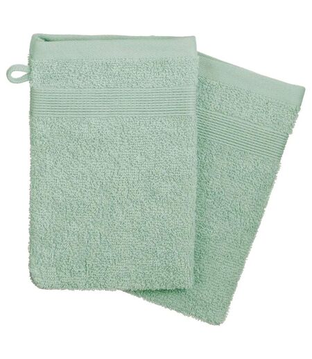 Lot de 2 Gants de Toilette Confort 15x21cm Vert Céladon