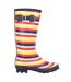 Regatta Womens/Ladies Ly Fairweather II Tall Durable Wellington Boots (Multicoloured Stripe) - UTRG3770-4