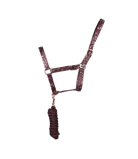 Enchanted collection head collar & lead rope full plum/rose gold Hy