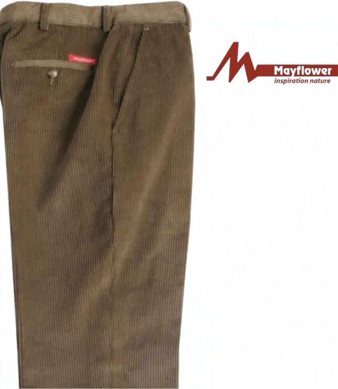 MAYFLOWER D373 — Pantalon velours extensible chamois : confort stretch et taille haute-4