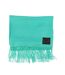 Unisex Adult Dotted Midweight Scarf One Size Mint Green Luke-2