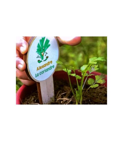 6 mois d'abonnement à une box jardinage pour enfant - SMARTBOX - Coffret Cadeau Sport & Aventure