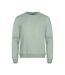 Unisex Adult Miami Sweatshirt Sage Green Clique-1