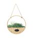 Plante Artificielle à Suspendre Garden 40cm Beige-1