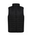 Henbury Unisex Adults Padded Vest (Black) - UTPC3827