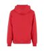 Mens Basic Hoodie City Red Build Your Brand-2