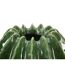 Vase Déco en Céramique Cactus 24cm Vert-3
