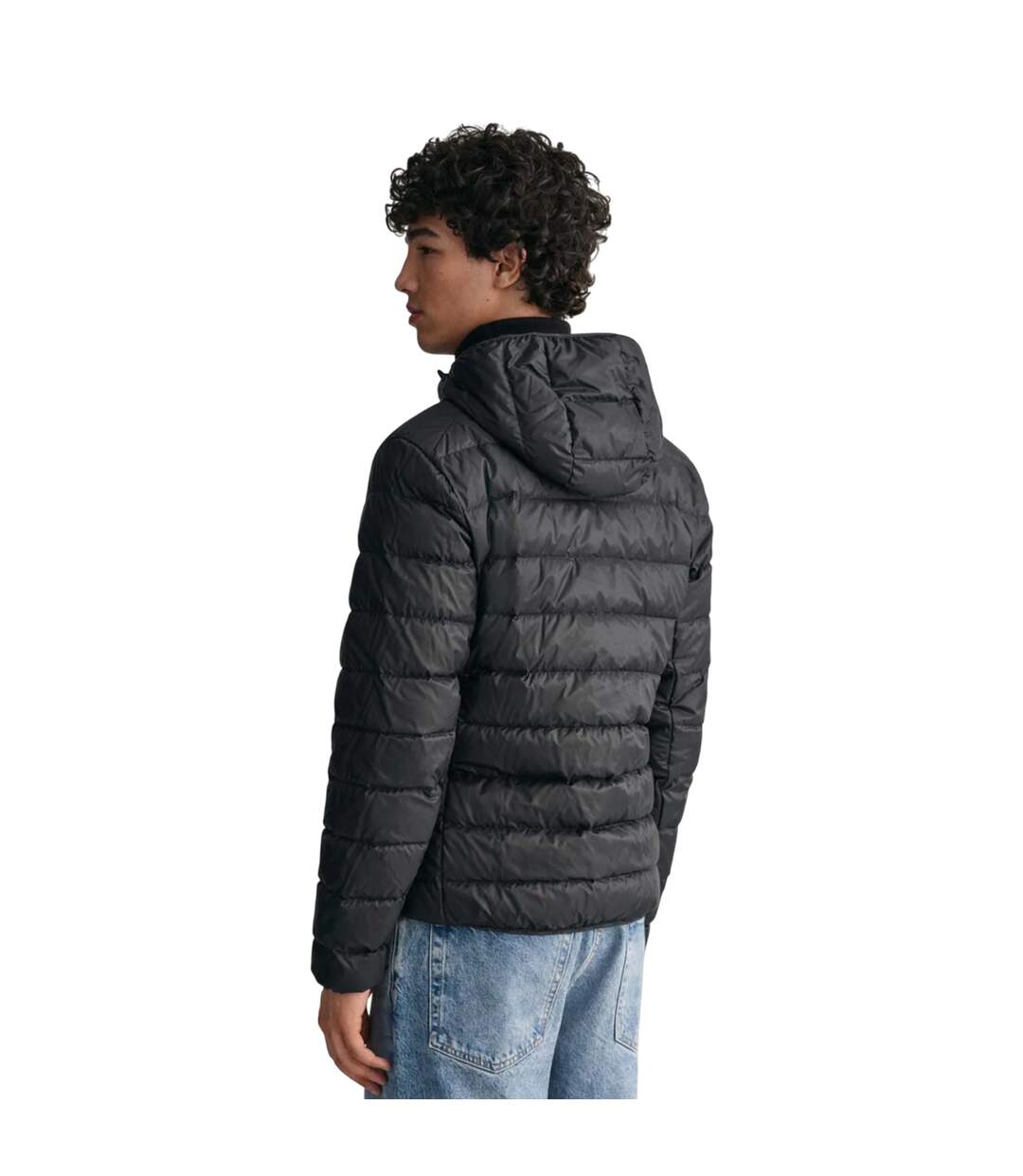 Mens Down Hooded Padded Jacket Black Gant-3