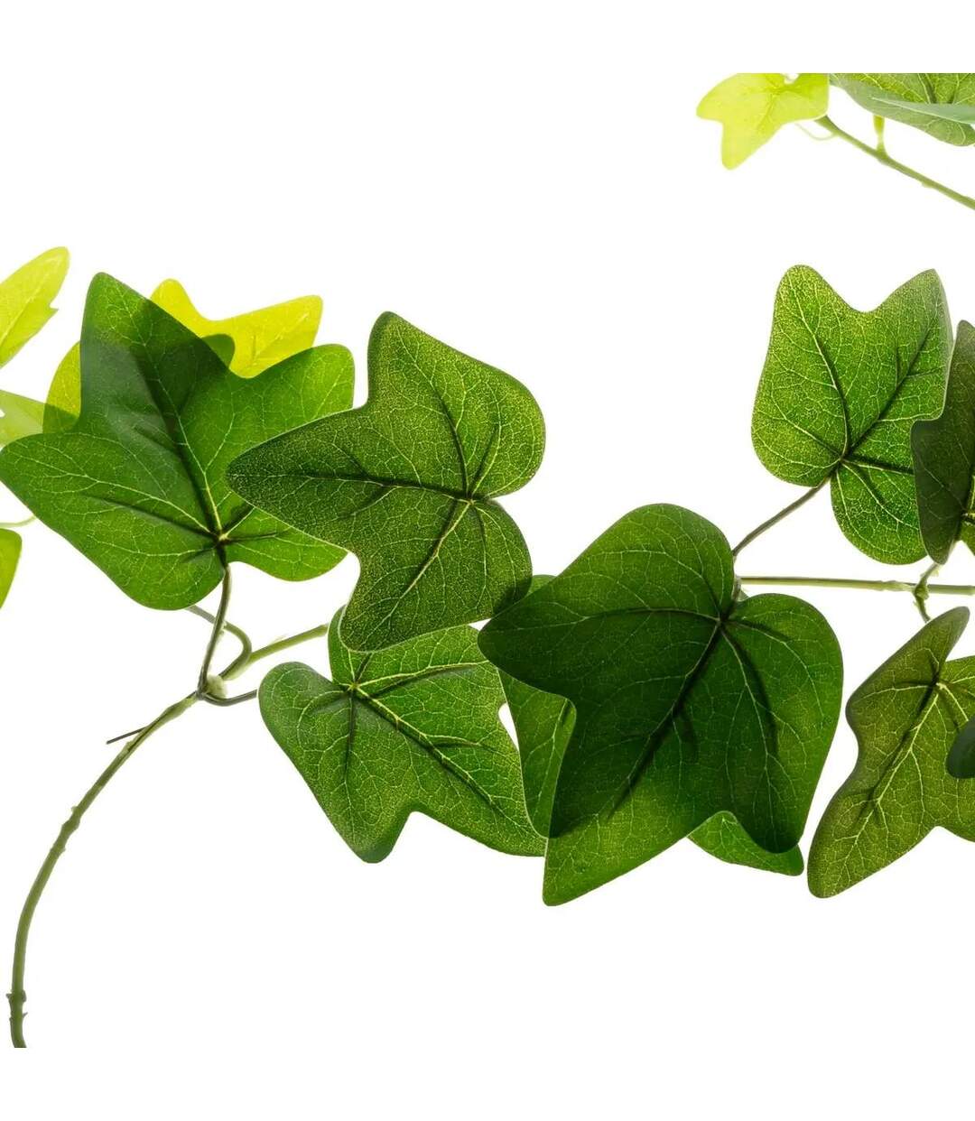 Guirlande Déco Lierre 190cm Vert-2