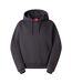 Sweat À Capuche Redbox Homme Noir Obsidien The North Face-2