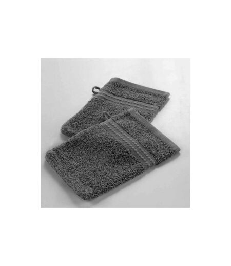 Lot de 2 Gants de Toilette Excellence 15x21cm Gris Ardoise