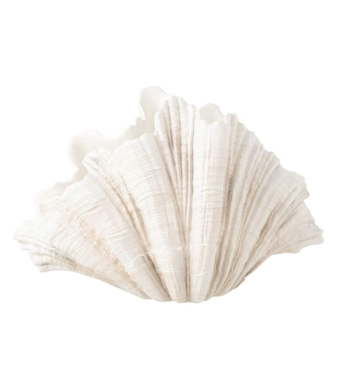 Vase Coquillage en Résine Puglia 57cm Blanc-1