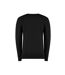 Regular fit Arundel crew neck sweater (Black) - UTRW7477